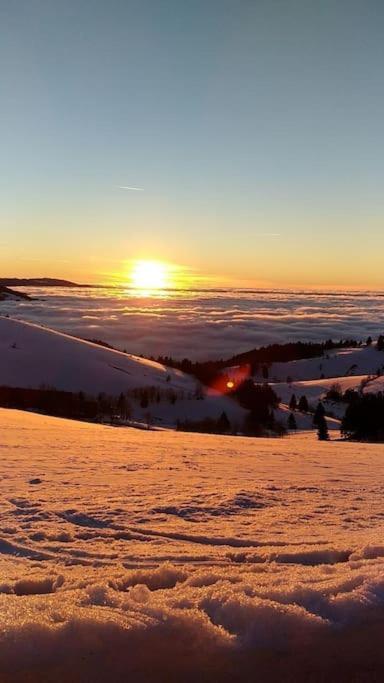 Ferienwohnung Schog Todtnau Esterno foto