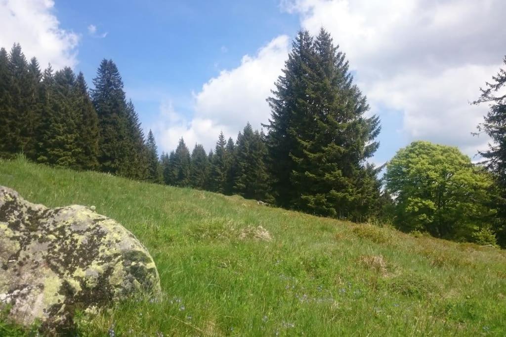 Ferienwohnung Schog Todtnau Esterno foto